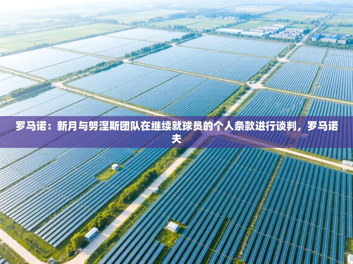 罗马诺：新月与努涅斯团队在继续就球员的个人条款进行谈判，罗马诺夫  第2张