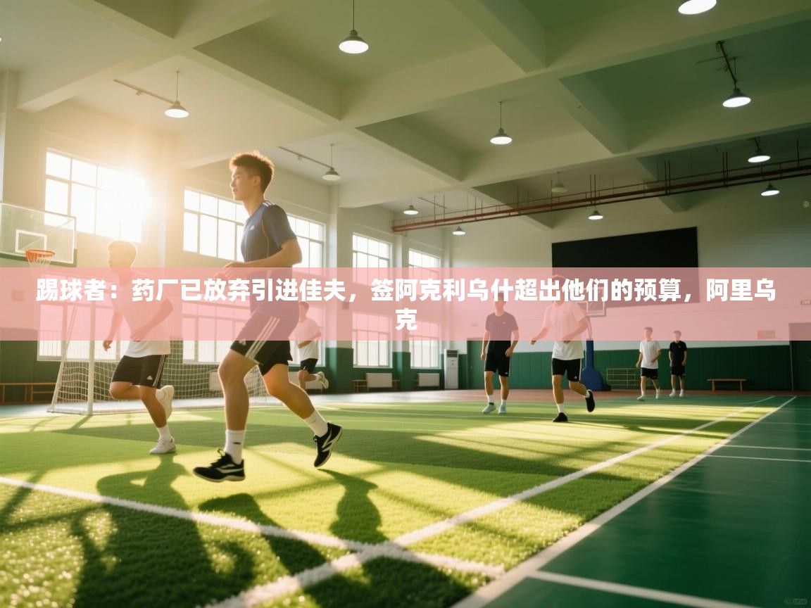 踢球者：药厂已放弃引进佳夫，签阿克利乌什超出他们的预算，阿里乌克  第1张