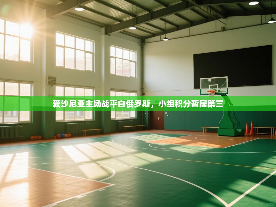 爱沙尼亚主场战平白俄罗斯,小组积分暂居第三 第1张