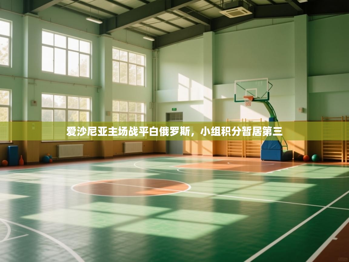 爱沙尼亚主场战平白俄罗斯,小组积分暂居第三 第2张