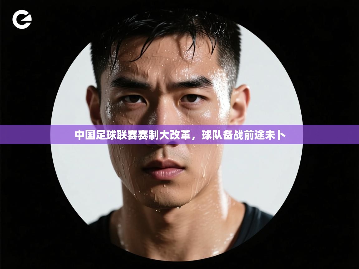 中国足球联赛赛制大改革，球队备战前途未卜  第1张