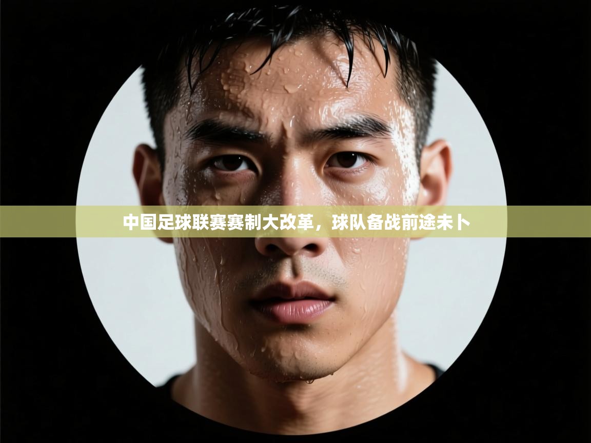 中国足球联赛赛制大改革，球队备战前途未卜  第2张